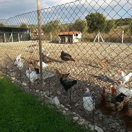 Ozbek Ciftlik Evi - Holiday *