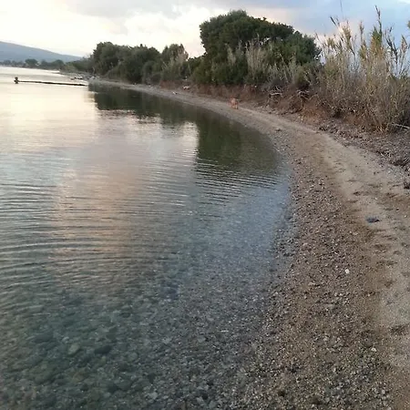 Tatil Evi Ozbek Ciftlik Evi - Holiday *