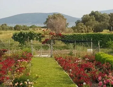 Ozbek Ciftlik Evi - Holiday Tatil Evi *