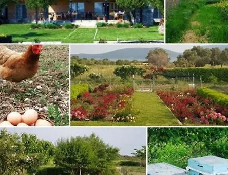 Tatil Evi Ozbek Ciftlik Evi - Holiday